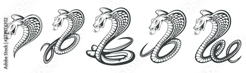 Set of Black King Cobra logo. Snake Tattoo. Indian cobra illustration, drawing. Vector illustration, aggressive and evil spectacled cobra or Naja naja. Vector graphics to design photo