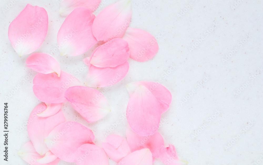 Pink rose petals. Perfect for background greeting cards and invitations of the wedding, birthday, Valentine's Day, Mother's Day