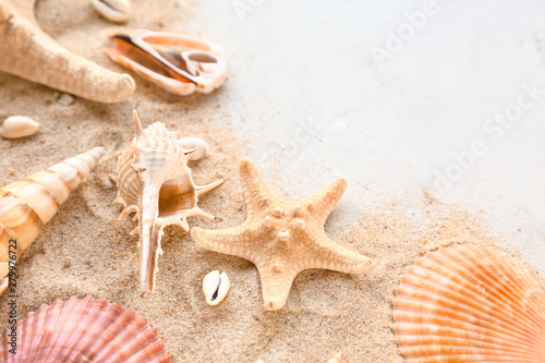 Beautiful sea shells  starfish and sand on light background