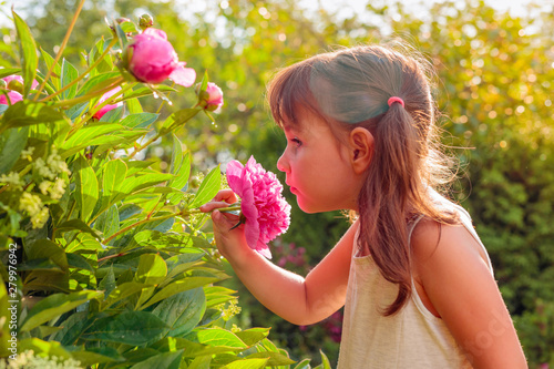 Happy little girl smelling fragrant pink peonies.