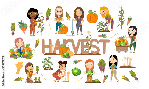 A set of cute girls harvest vegetables and cereals. Harvest cabbage  potatoes  carrots  beets  pumpkins  corn and wheat. Collection of people doing farming job. Vector illustration of kids