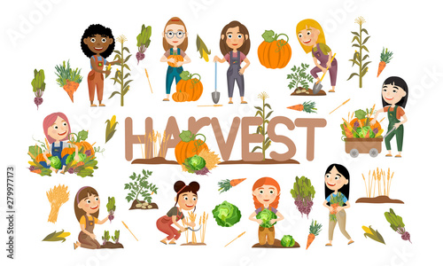 A set of cute girls harvest vegetables and cereals. Harvest cabbage, potatoes, carrots, beets, pumpkins, corn and wheat. Collection of people doing farming job. Vector illustration of kids