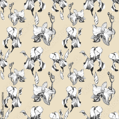 Floral seamless pattern with hand drawn ink iris and orchid flowers on beige background. Flowers lined up in harmonious uninhibited sequence
