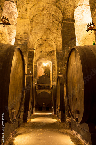 Fotografia cellar with barrels for storage of wine,