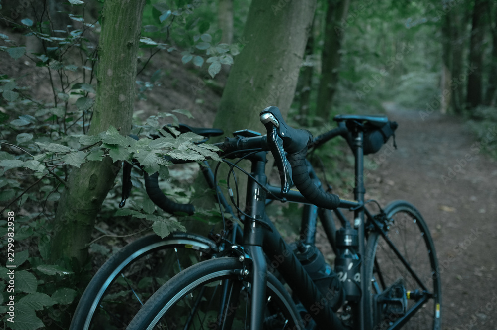 Fototapeta premium Quiet roads of Moravian Karst