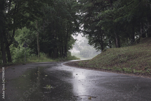 wet road with puddles in the forest