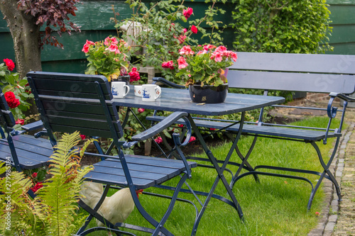Cozy summer backyard with outdoor table and chairs. Patio with tea table and white hen under chair. Beautiful garden with outdoor furniture and flowers with tea cups. Village backyard in Holland.