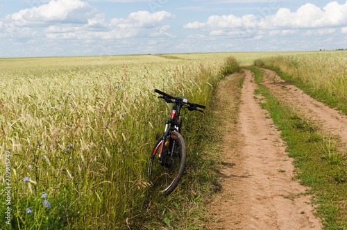 Fototapeta Naklejka Na Ścianę i Meble -  country road in wheat field and bike