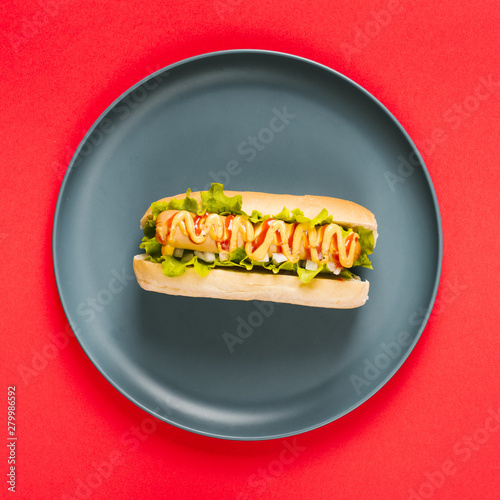 Flat lay hotdog with sauces on plate photo