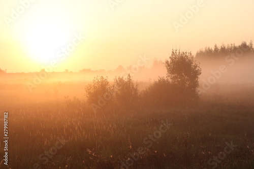 misty morning sunrise in the fog © Aleksandra