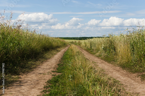 Country road in field  nature