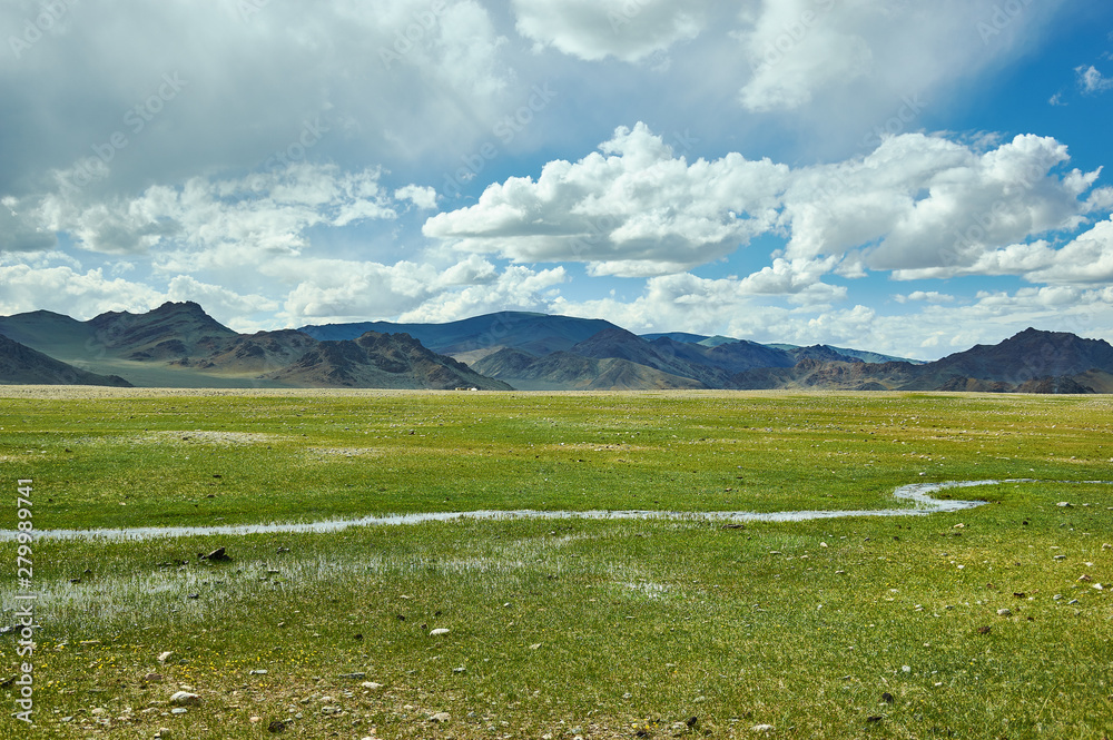 Fototapeta premium Mongolian Altai. Scenic valley on the background of the snowcapped mountains.