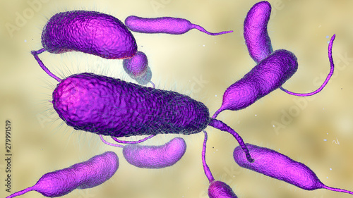 Bacterium Vibrio vulnificus, 3D illustration. The causative agent of serious seafood-related infections and infected wound after swimming in warm sea water photo