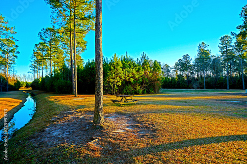 Evening at the Park