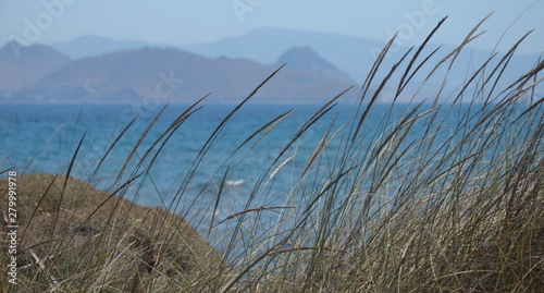 by the ocean
