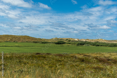 Grassland between the dunes with blue sky above it. Terschelling, The Netherlands, Europe.Grassland between the dunes with blue sky above it. Terschelling, The Netherlands, Europe.