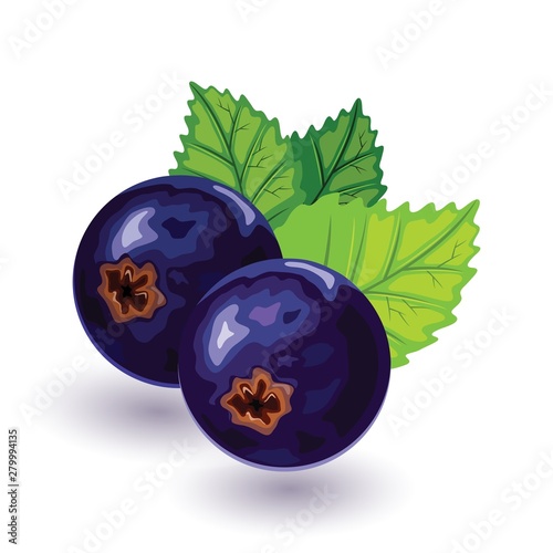 Ripe, sweet and juicy blackcurrant with green leaves. Ingredient for healthy eating and nutrition. Berries are natural antioxidant. Cartoon vector icon isolated on white background.