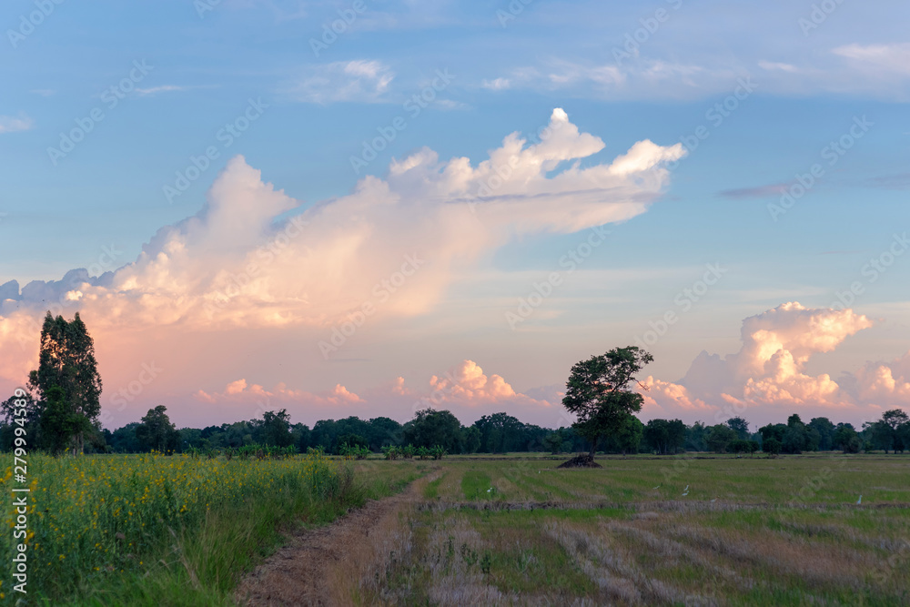 Evening sky Evening sky
