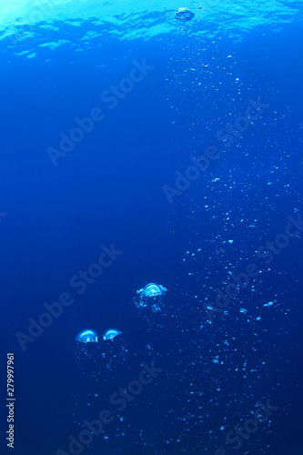 Air bubbles in blue water 