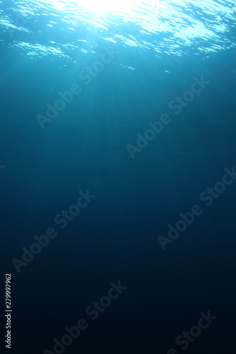 Underwater blue background vertical  © Richard Carey