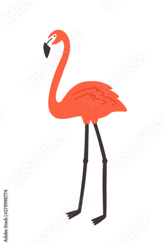 Flamingo isolated on white background