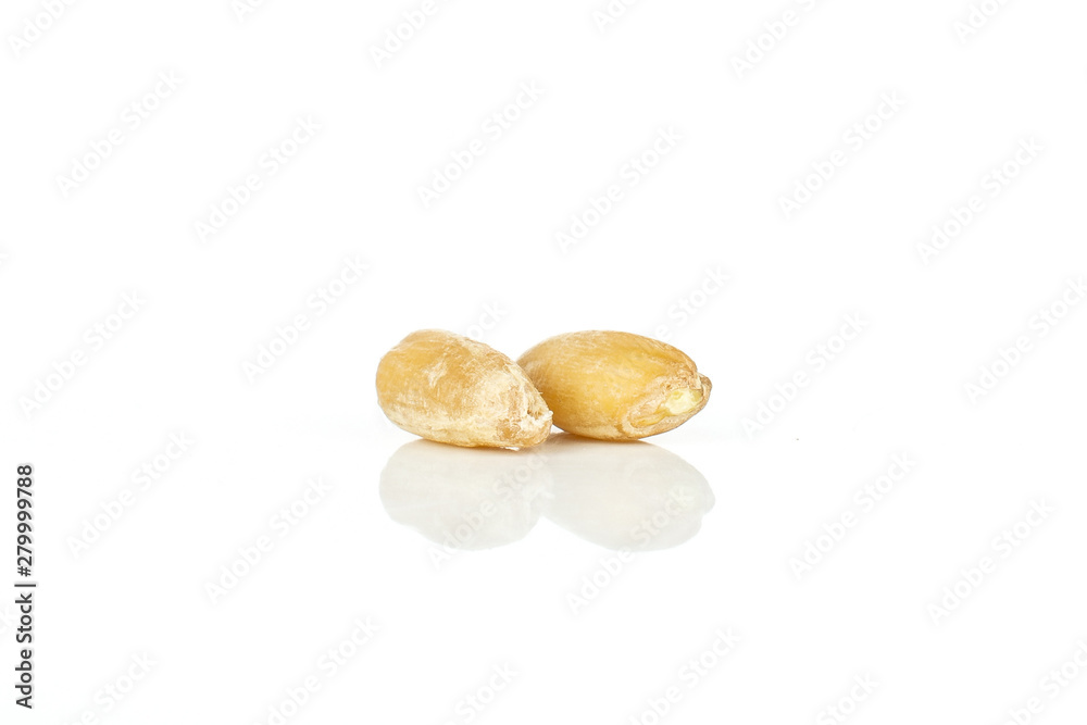 Group of two whole raw fresh beige dinkel wheat grain macro isolated on white background Group of two whole raw fresh beige dinkel wheat grain macro isolated on white background