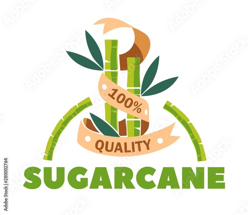 Organic sugar product sugarcane sweetener isolated icon