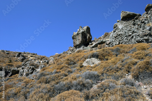 Lesbos Greece. Petrified forest. Rocks. Desert