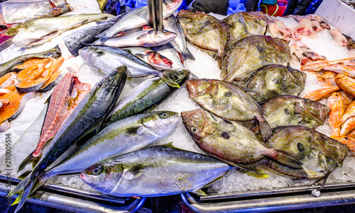 italian fish market
