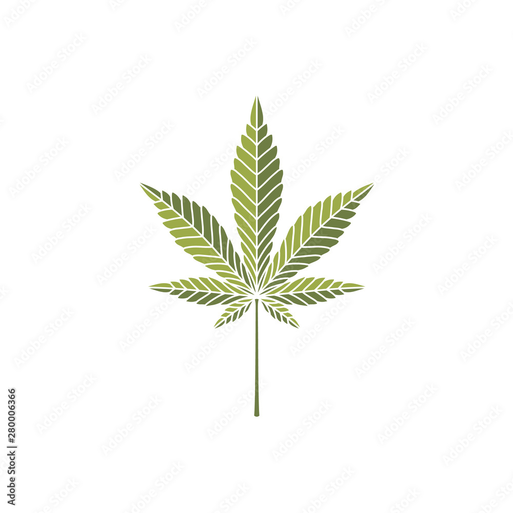 Fototapeta premium Vintage retro cbd cannabis marijuana hemp pot leaf farm cultivation logo design
