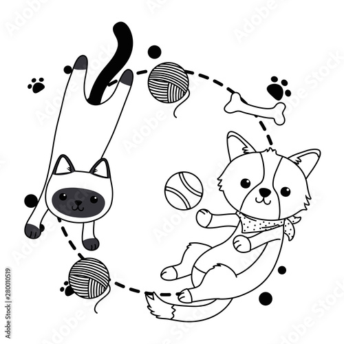 Cat and dog cartoon design