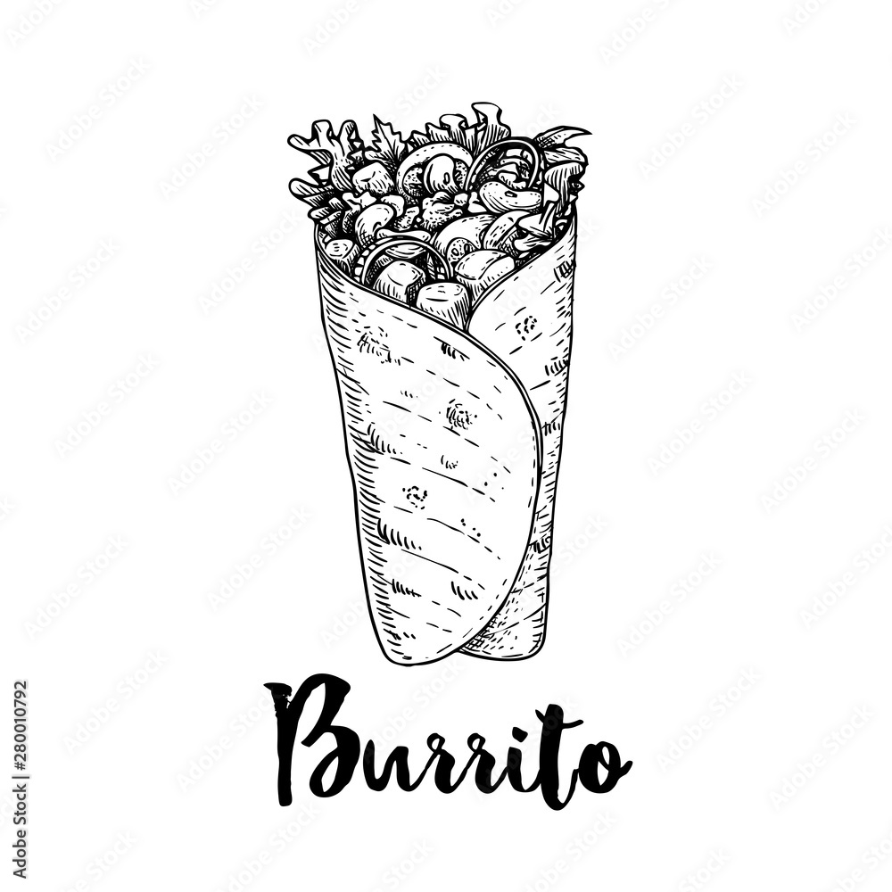 Vecteur Stock Hand Drawn Sketch Style Burrito Wrap Traditional Mexican