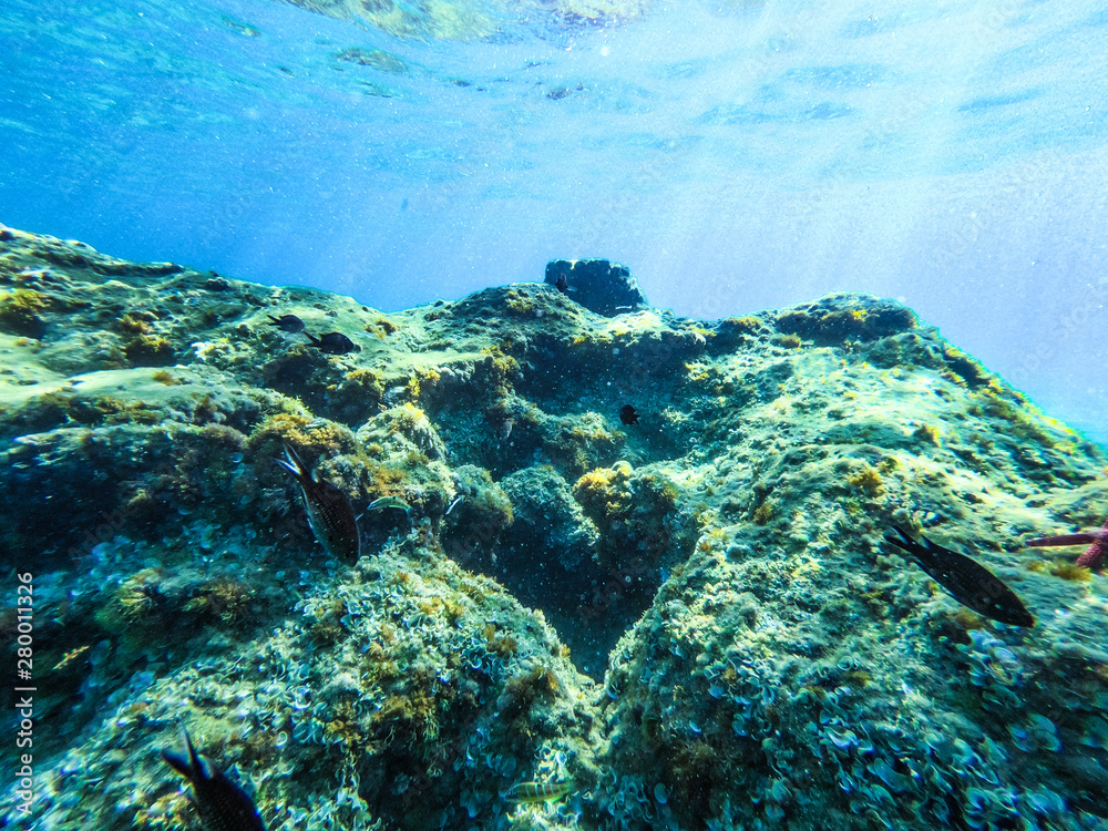 Underwater view of rocks and stones at the bottom of the sea. Underwater view of rocks and stones at the bottom of the sea.