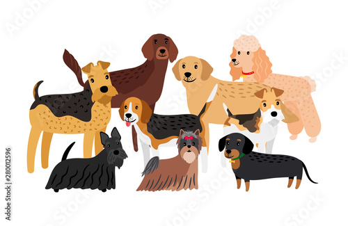 Group of hunting dogs breeds vector illustration. Cartoon character pets isolated on white background