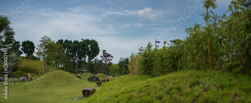 Beautiful panorama of green city park. Landscape, background