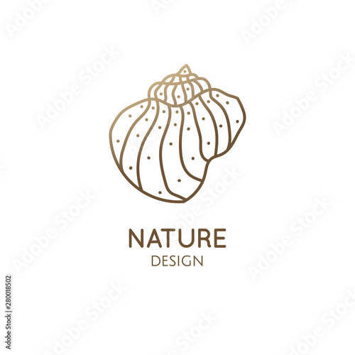 Abstract seashell simple logo