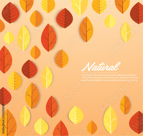 Autumn leaves background vector illustration EPS10