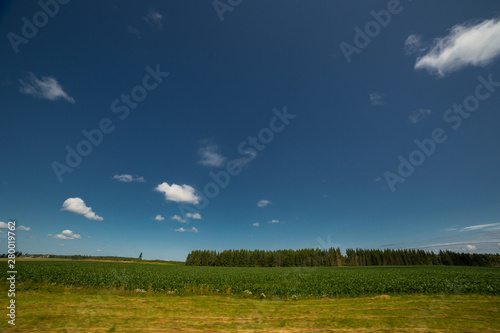 Summer landscape at the day in Estonia © antonburkhan