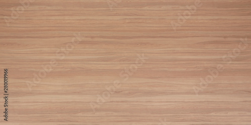 Wood texture background. Wooden panel with natural pattern for design and decoration