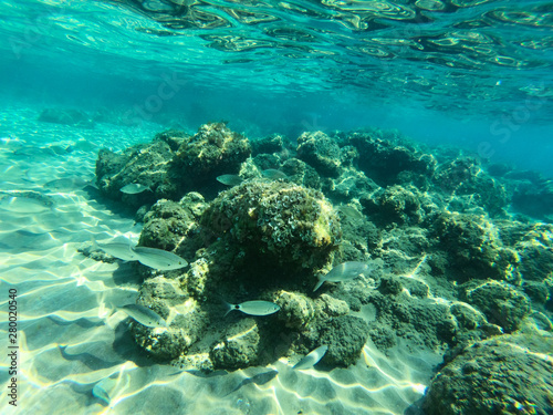 Fototapeta Naklejka Na Ścianę i Meble -  Underwater view of rocks and stones at the bottom of the sea.