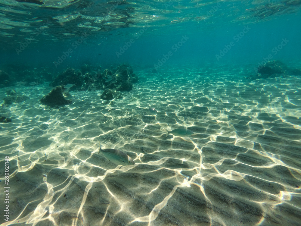 Underwater view of sea bottom with sand, rocks and stones.. Underwater view of sea bottom with sand, rocks and stones..