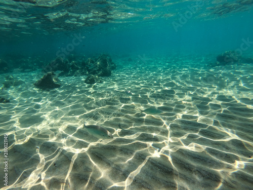 Underwater view of sea bottom with sand  rocks and stones..