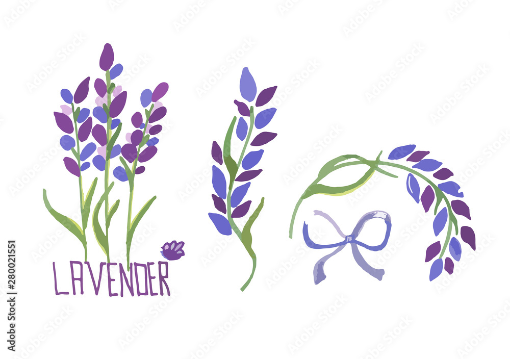Vector illustration set of lavender flowers elements. Botanical  illustrations of lavender branches in design element for decorating,  greeting cards, postcards. Flat cartoon design. Stock Vector | Adobe Stock