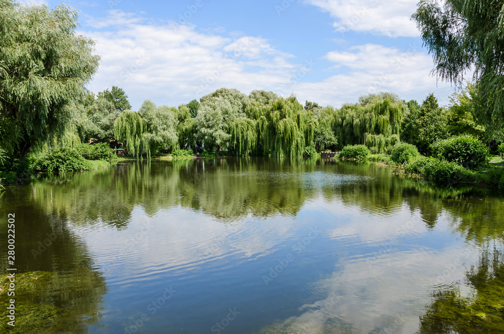 beautiful view: lake in the park, blue sky and trees around beautiful view: lake in the park, blue sky and trees around