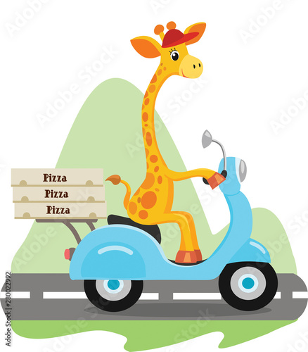 Giraffe on the scooter delivers pizza. Vector ilustration.
