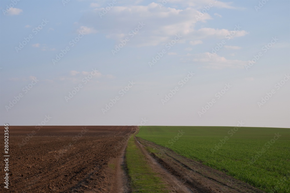 road separating fields with winter crops and plowed against the sky with clouds