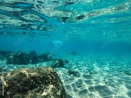 Diving in the sea water. Underwater walking at the bottom of the seash.