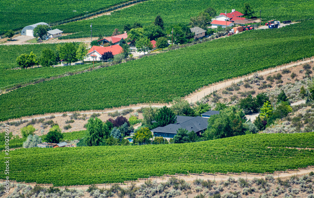 Farm lands landscape in Okanagan valley on summer day.