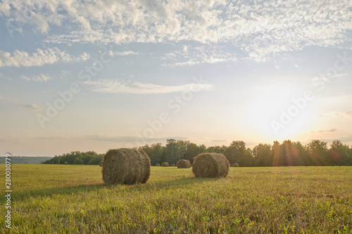 roll of hay on the field in sunset light. Agriculture