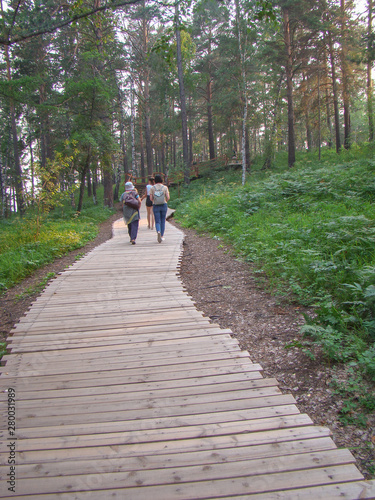 Tourists go on a path in the woods. Wooden flooring from boards. Women of different ages - elderly, middle-aged, girl and little girls. Concept of hiking in outdoors. © Sergei Tim